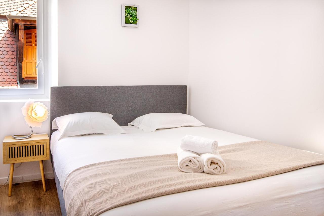 Cosmo Ideal Famille Rue Carnot Annecy Ngoại thất bức ảnh